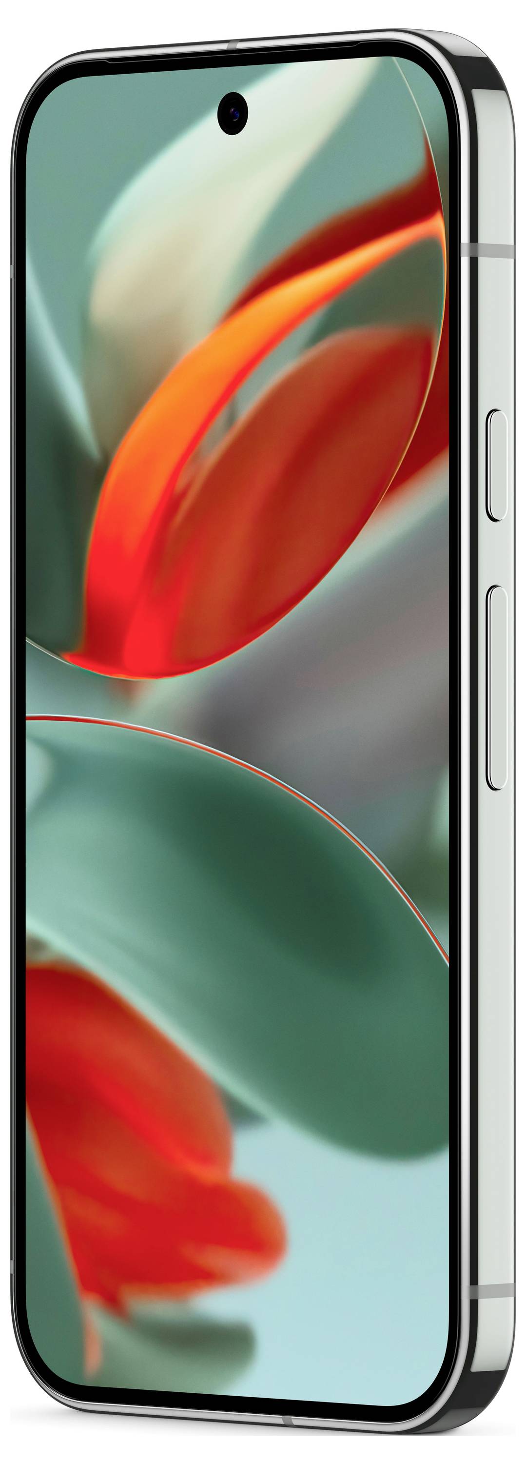 Google Pixel 9 Pro 4